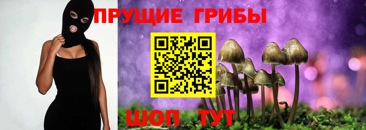 Карасук  Псилоцибиновые грибы Psilocybine cubensis  Вход с VPN 