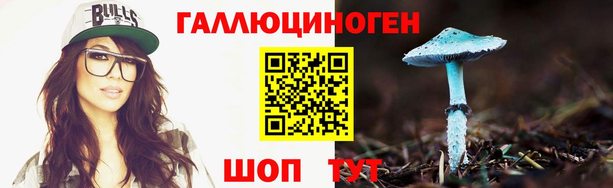 Псилоцибиновые грибы прущие грибы Карасук